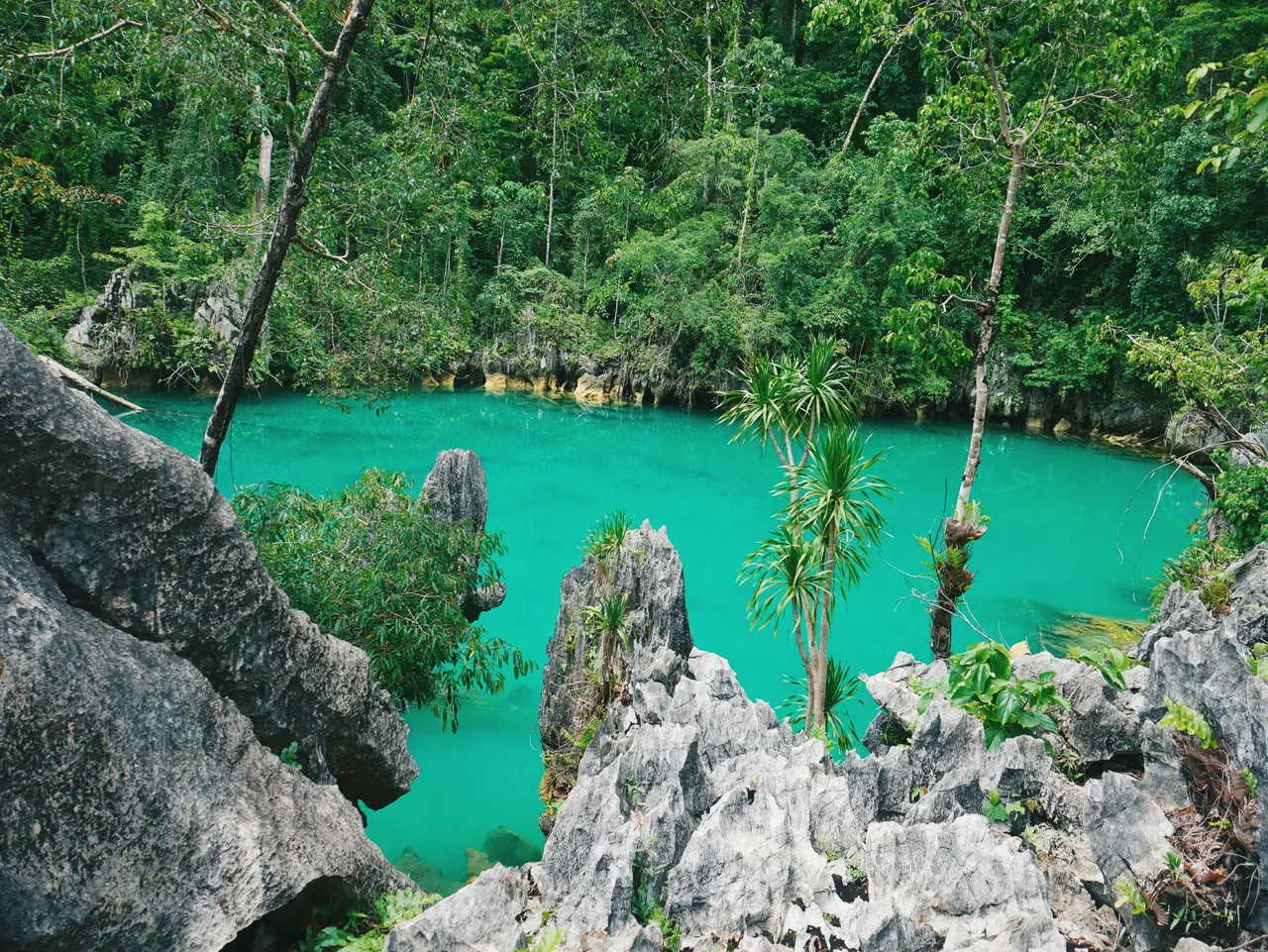 Sulawesi